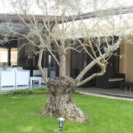 Hotel Jesolo